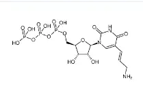 CAS號：112131-73-4，Aminoallyl-UTP，氨基烯丙基尿苷三磷酸