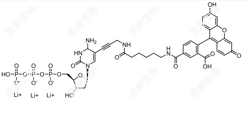 FAM-11-dCTP，熒光素標(biāo)記脫氧胞苷三磷酸：高效熒光標(biāo)記的脫氧胞苷三磷酸衍生物及其分子生物學(xué)應(yīng)用