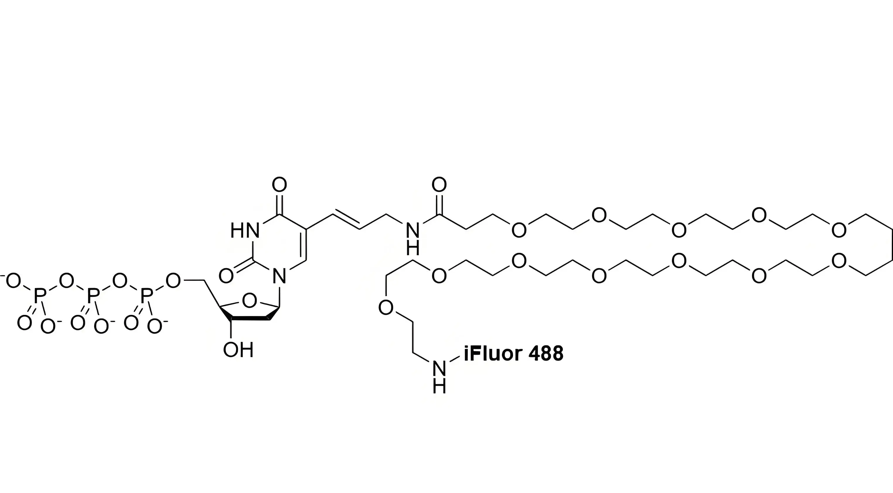 iFluor488-PEG12-dUTP，iFluor488-十二聚乙二醇-脫氧尿苷三磷酸在反應(yīng)體系中的溶解穩(wěn)定性解析