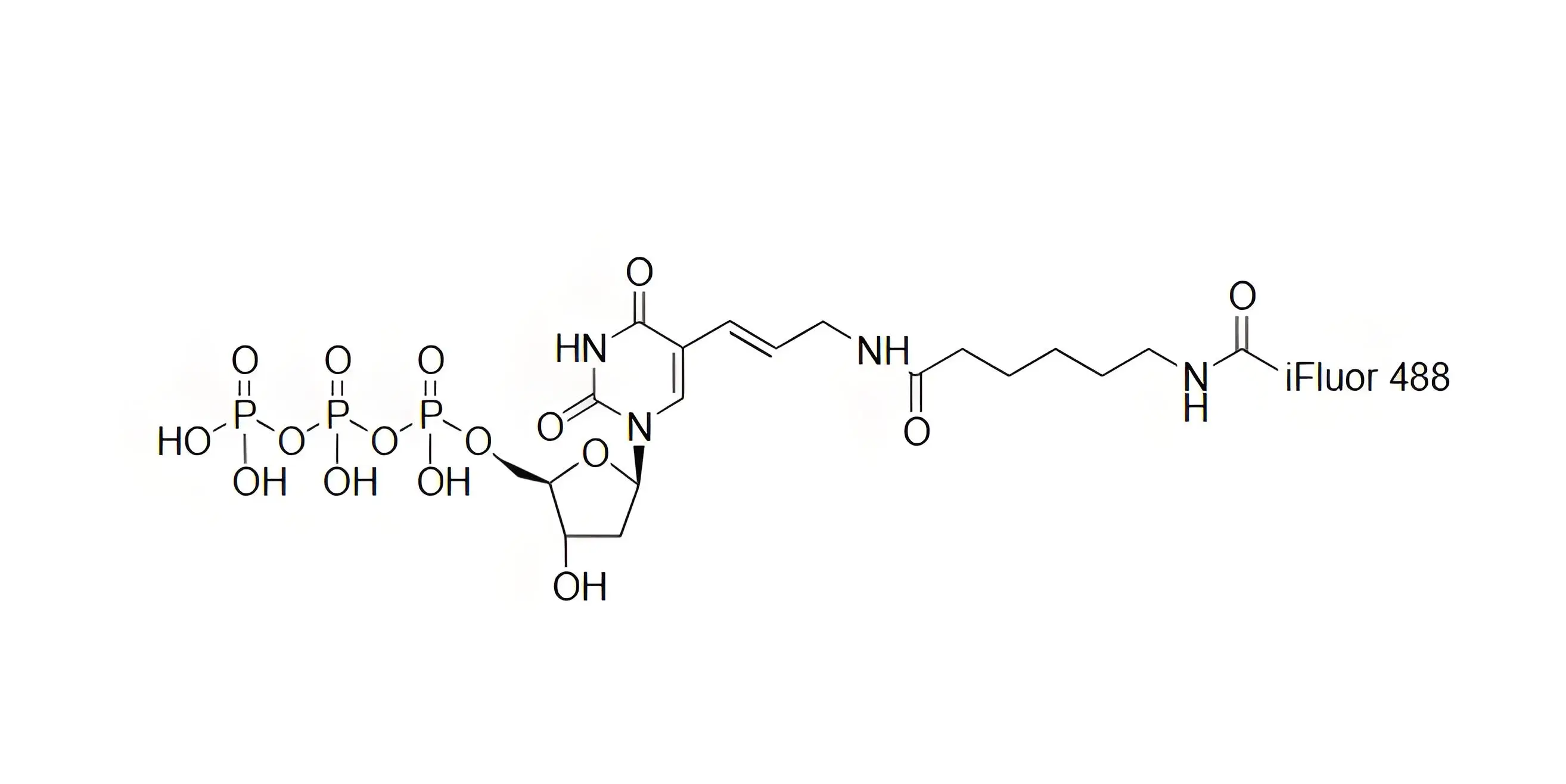 iFluor488-dUTP，iFluor488-脫氧尿苷三磷酸在PCR和逆轉(zhuǎn)錄中的表現(xiàn)