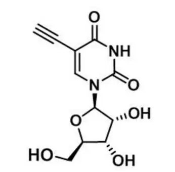 5-Ethynyluridine，5-EU，69075-42-9，核心結(jié)構(gòu)特點(diǎn)是在尿苷的5位碳上引入了一個乙炔基