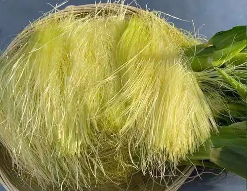 痛風(fēng)食療指南！8種低嘌呤食物建議常吃，溫和緩解不適少復(fù)發(fā)